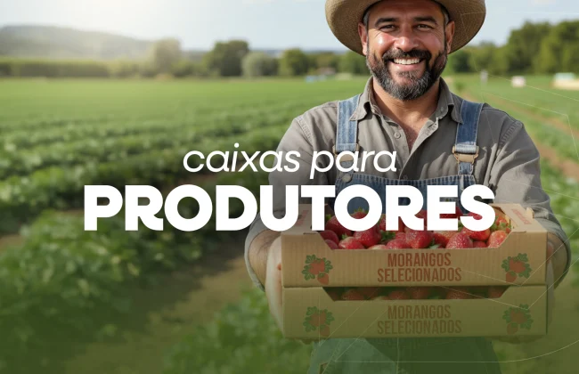 CAIXAS PARA PRODUTORES