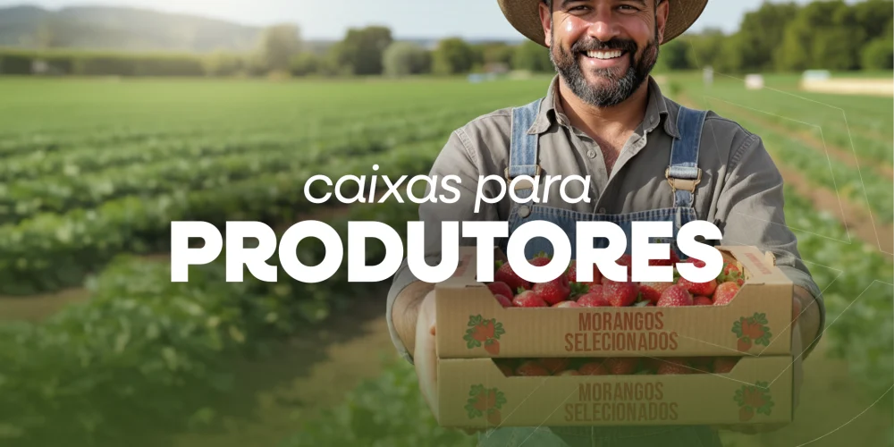 CAIXAS PARA PRODUTORES